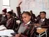 Wow! South Africa  introducing new school subjects next year