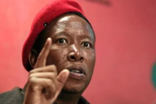 Malema alleges that he is the target of a "state-sponsored" threat.