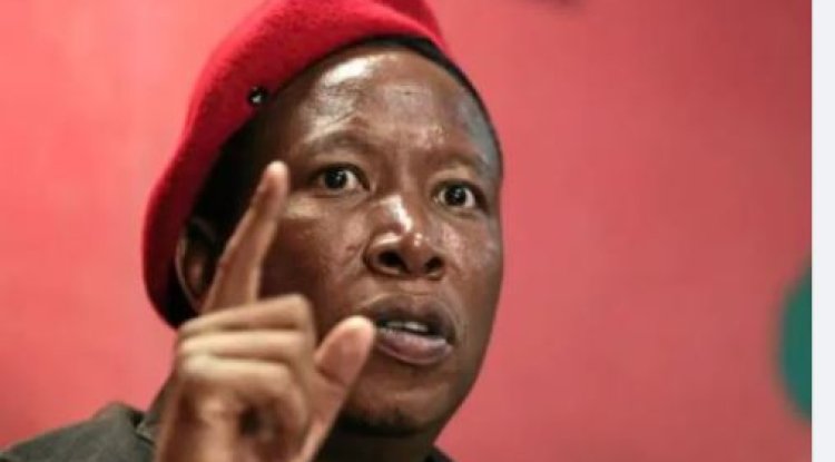 Malema alleges that he is the target of a "state-sponsored" threat.