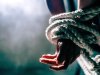 The confusion about kidnapping in South Africa — the numbers just don’t add up
