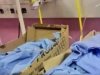 Health Department to release 'babies in boxes’ report