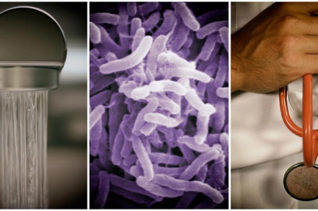 Cholera outbreak in Gauteng – what you need to know about the disease, its spread and how to stay safe