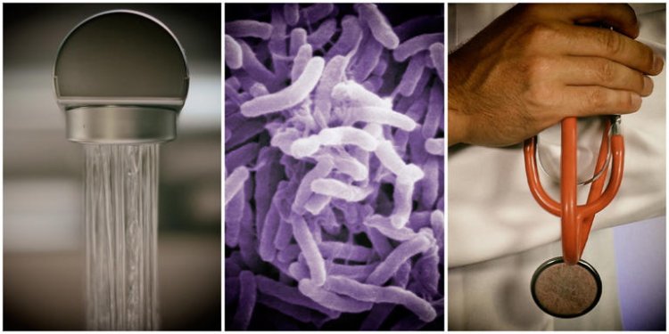 Cholera outbreak in Gauteng – what you need to know about the disease, its spread and how to stay safe