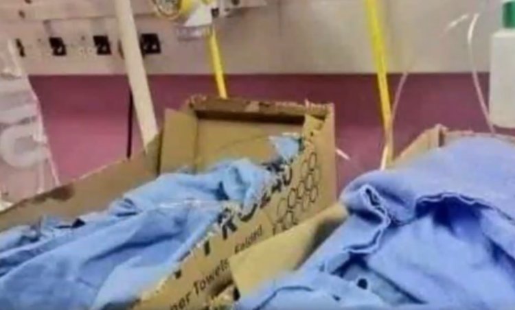 Health Department to release 'babies in boxes’ report