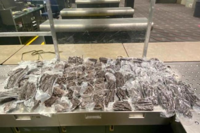 South African man tries to smuggle biltong worth R37K into America