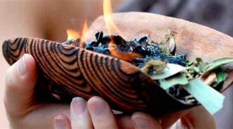 Sangoma: Pastors also use 'muthi animal' for . . .