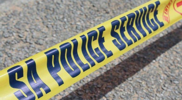 Diepsloot protest | CPF leader killed trying to stop a robbery