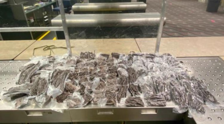 South African man tries to smuggle biltong worth R37K into America