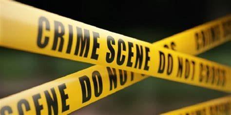 Five passengers killed as Toyota Etios falls off Ekurhuleni bridge and bursts into flames