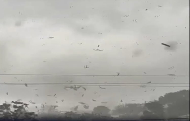 KZN storms | Officials to visit affected areas