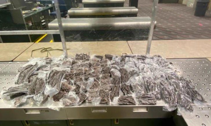 South African man tries to smuggle biltong worth R37K into America