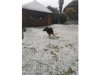 IN PICS,: Gauteng in a snow globe as temperatures drop