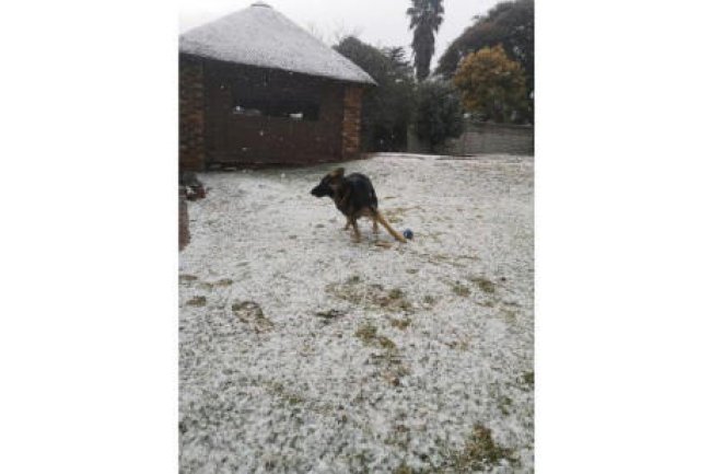 IN PICS,: Gauteng in a snow globe as temperatures drop