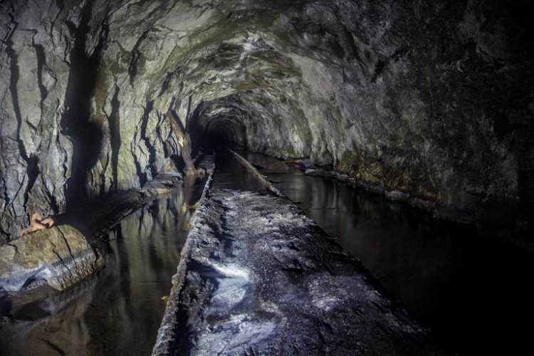 Zama zama survivor describes ‘unforgettable’ horrors of Harmony Gold mine blast