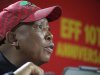 Just resign! Julius Malema tells 400 EFF councillors who failed to bus supporters in to birthday rally