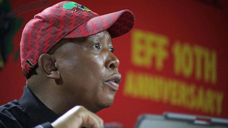 Just resign! Julius Malema tells 400 EFF councillors who failed to bus supporters in to birthday rally