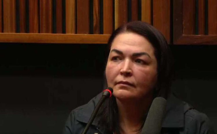 Multimillion-rand fraudster's sentencing postponed